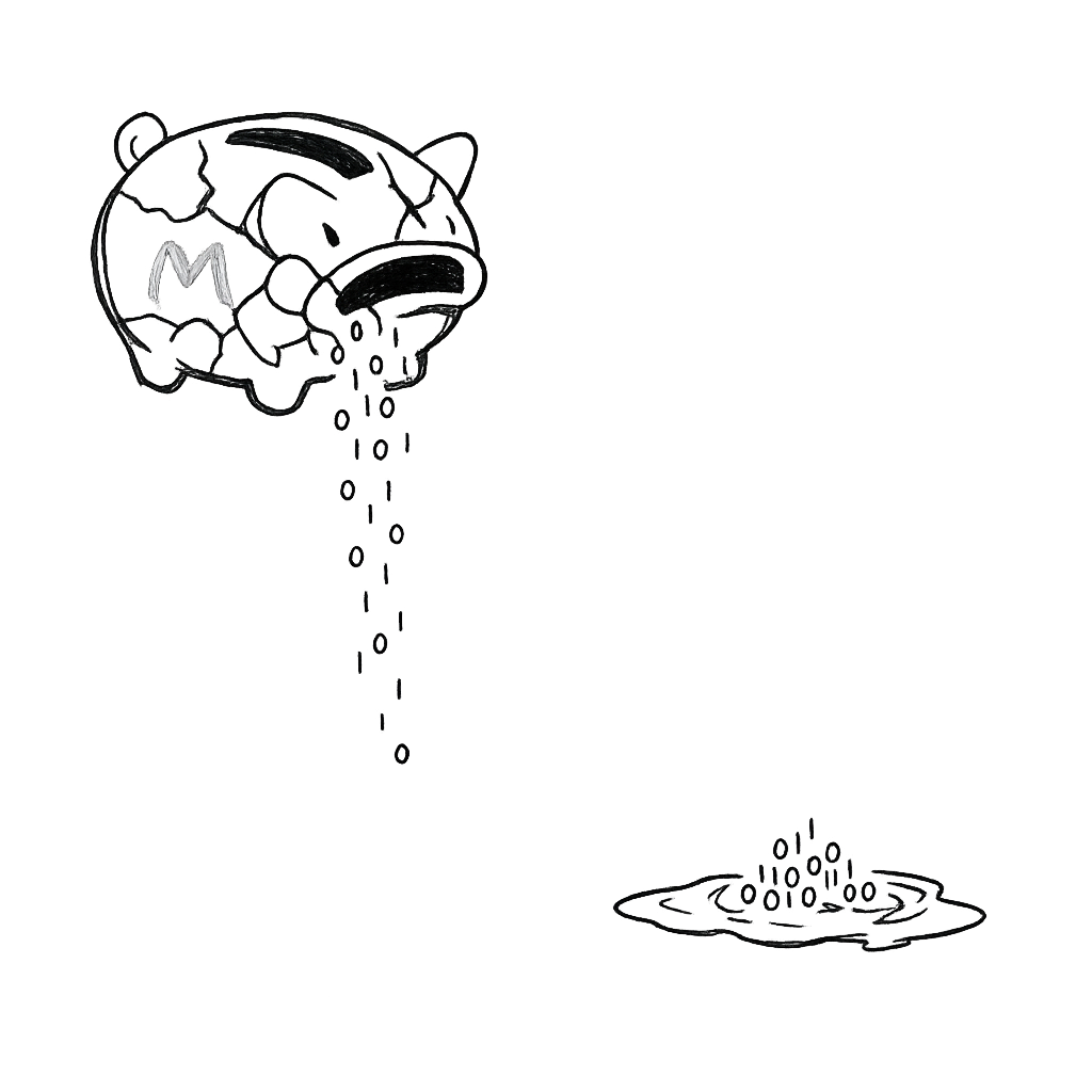 Meta equity raising plans